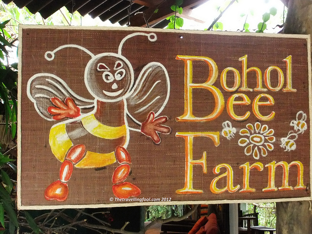 the-bohol-bee-farm