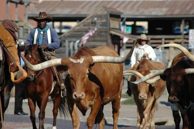 Ft Worth Stockyards Image by Woody Hibbard via Flickr