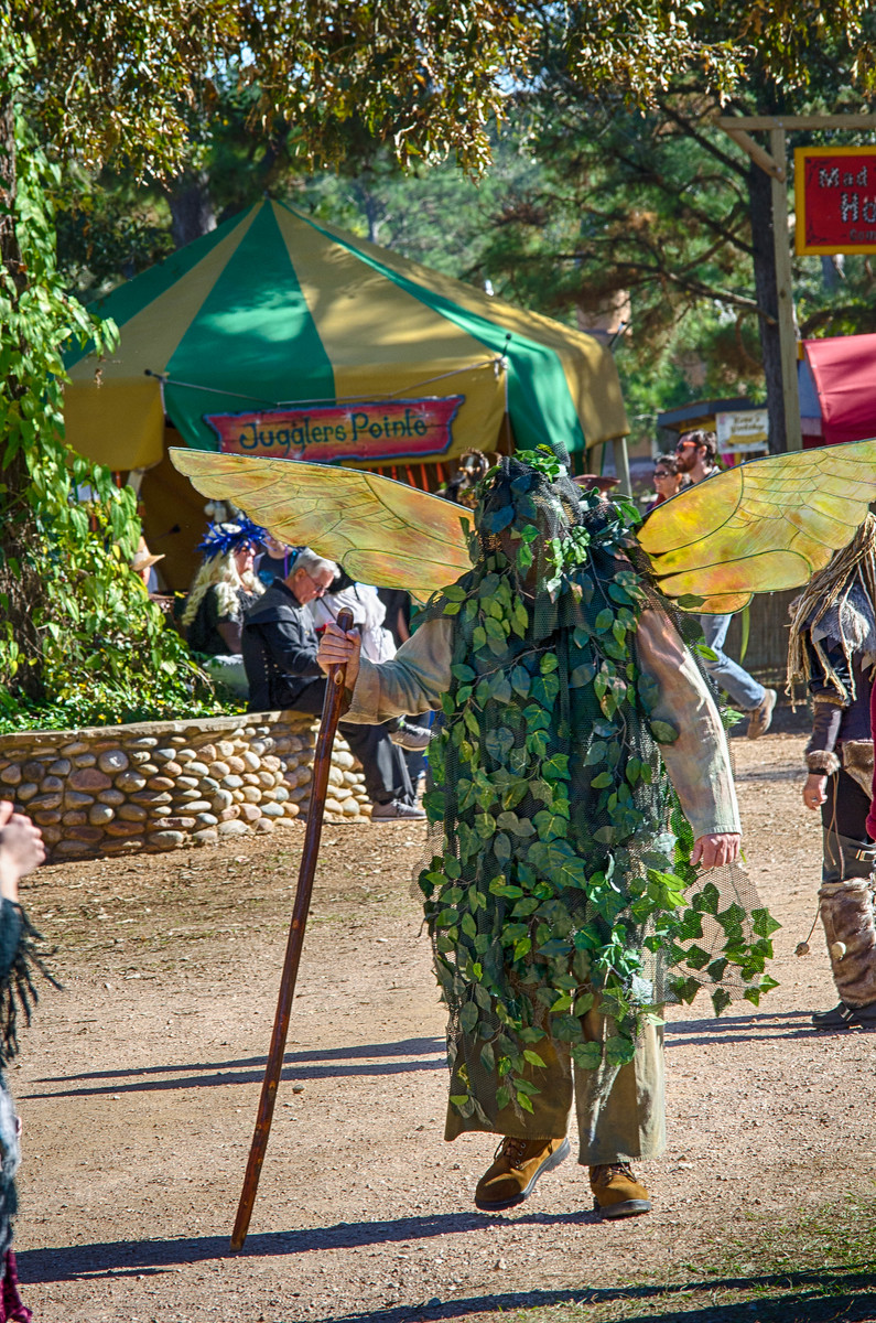 Strange Ren Fest Costume