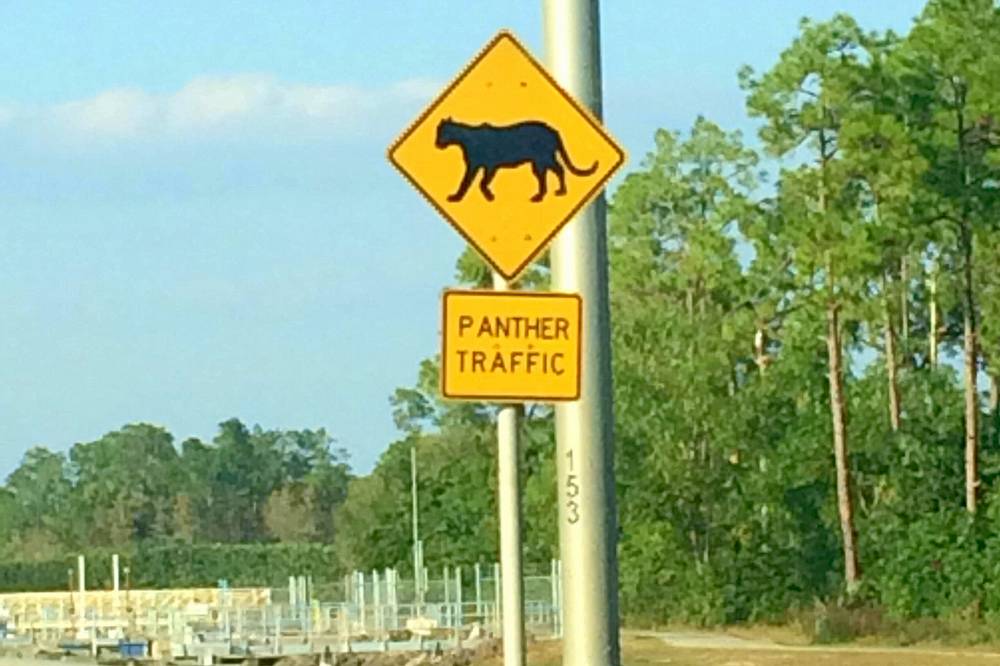 Panther Crossing Sign