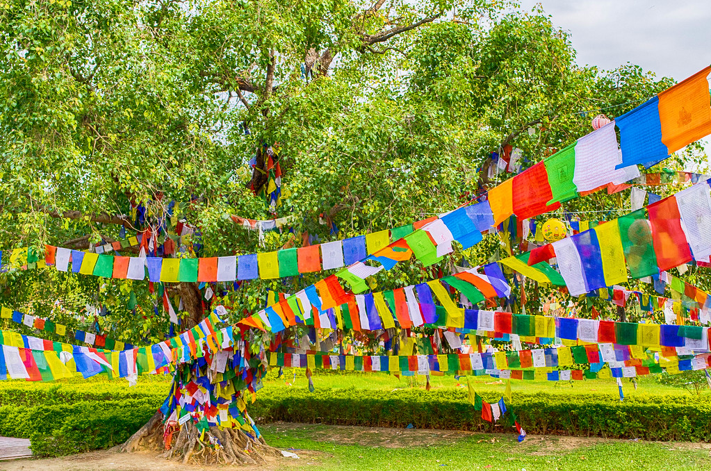 Lumbini Gardens, Birthplace of Buddha