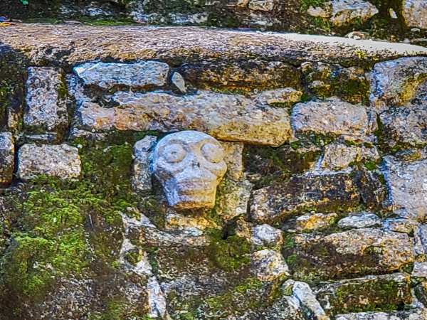 Skull Carving at Coba Mayan Ruins Mexico