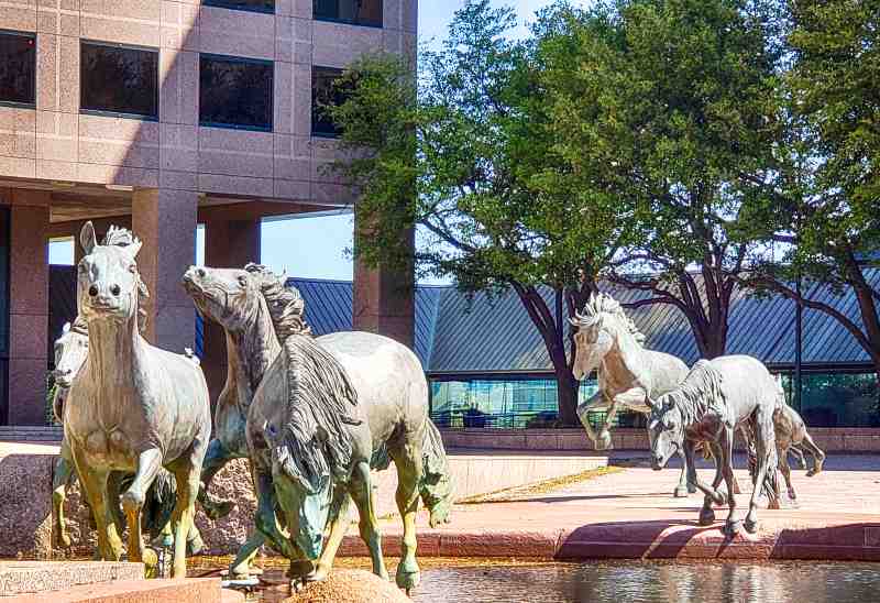 Mustangs at Las Colinas