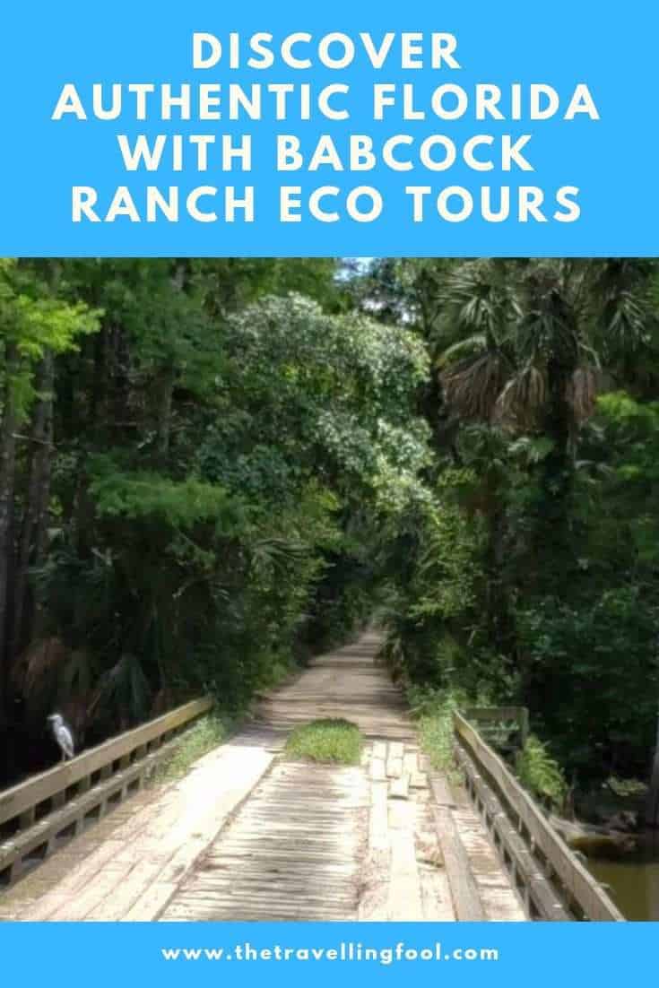 Discovering Authentic Florida with Babcock Ranch Eco Tours