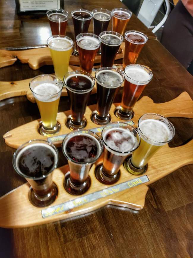 Beer flight at Mighty Mo Brewery