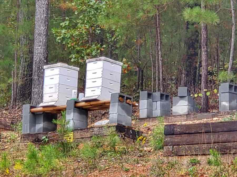 Bee Hives