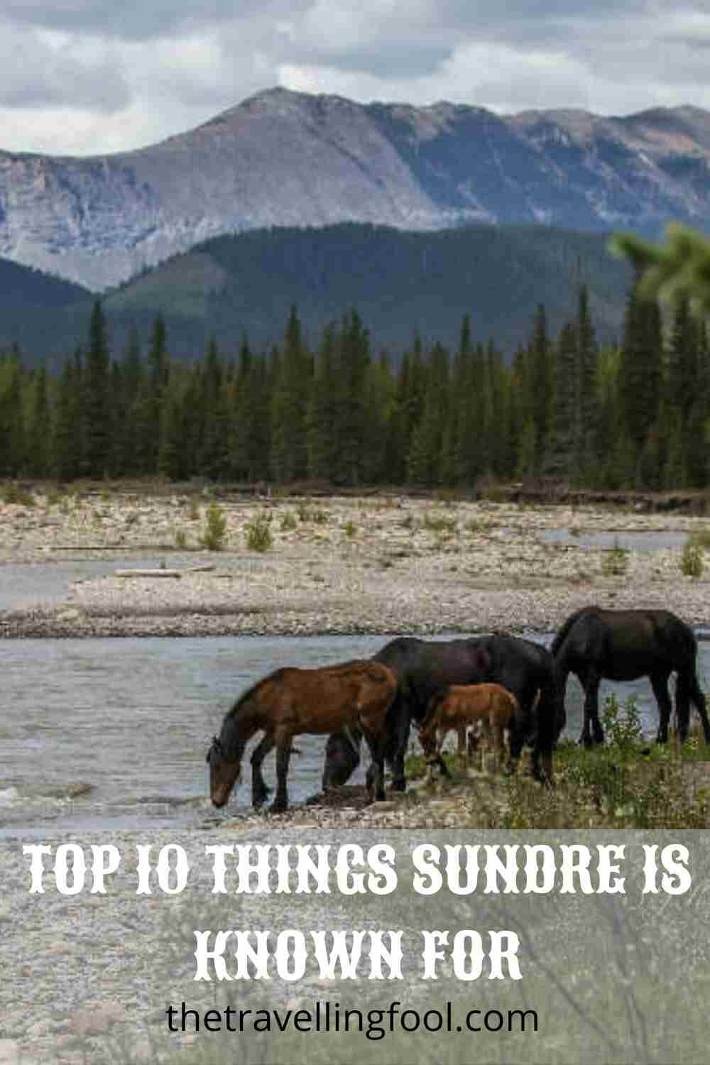 Top Ten Things Sundre is Known For
