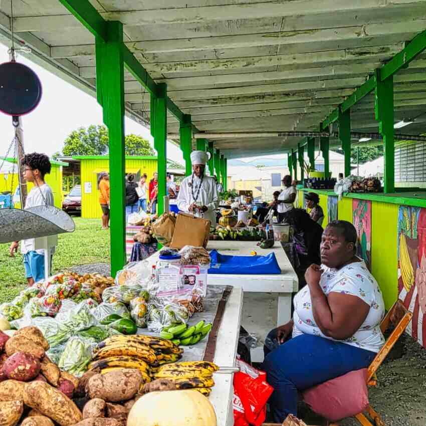 Vendors at St Croix Farmers Market