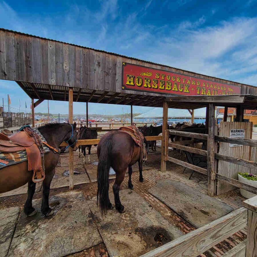 Fort Worth Stockyard Stables horseback rides