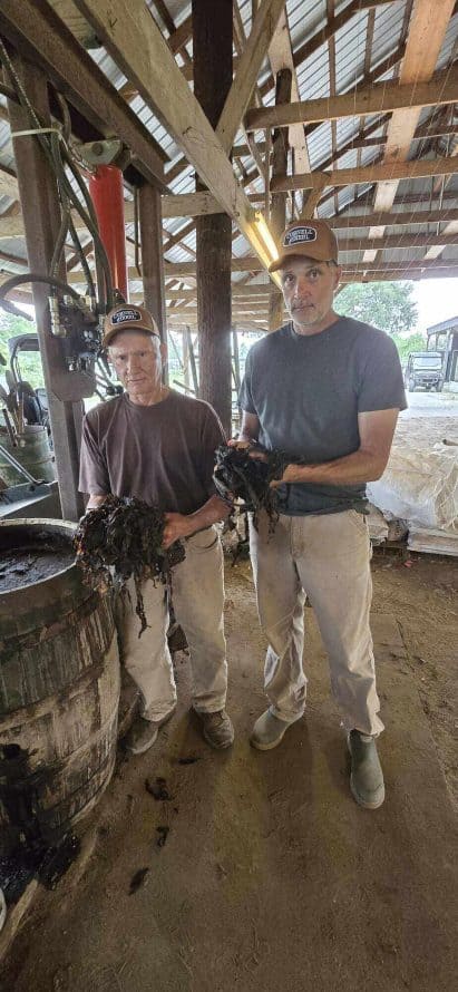 Ricky and Derek Roussel